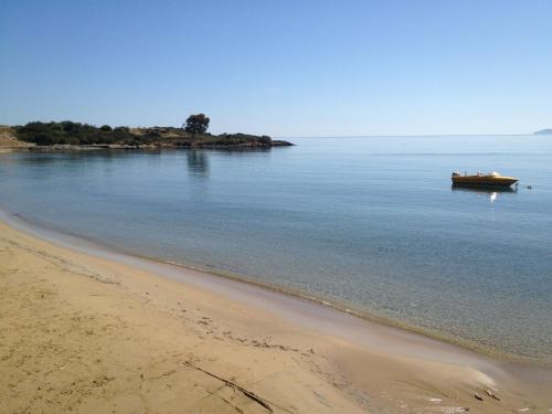 Fissi Villas agritourism accommodation near the sea