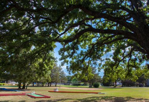 Lake Texoma Camping Resort Cabin 17