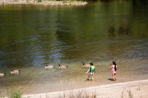 Ponderosa Camping Resort Park Model 7 - image 9