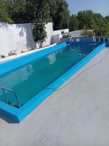 welcome or sky blue in Oued Alian