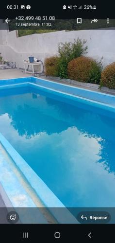 welcome or sky blue in Oued Alian