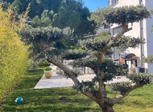 Garden, House with pool and sea view in Nice in Ventabrun