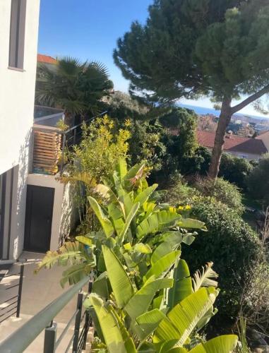 Garden, House with pool and sea view in Nice in Ventabrun