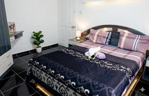 Flie en Flac beachfront in 福萊-昂-福萊