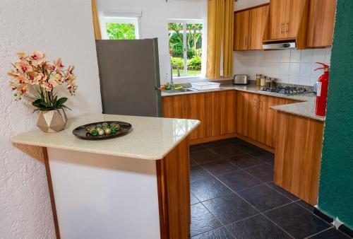 Flie en Flac beachfront in 福萊-昂-福萊