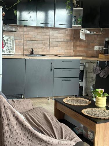 Cozy F2 proche PARIS et CDG - Location saisonnière - Le Blanc-Mesnil