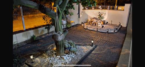 Les oliveres de l'Empordà (Les oliveres de l'Emporda) in Bellcaire d'Emporda