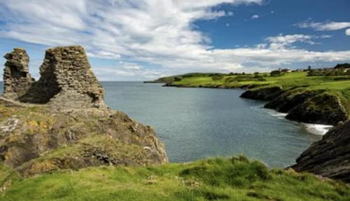 Saint Patricks Wicklow in Wicklow