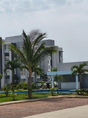 Punta Mar Ground-Floor Pet-Friendly Apartment