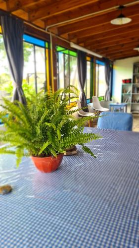 外部景觀, Casa de campo boutique a 18 minutos de Merlo in 科爾塔德拉斯