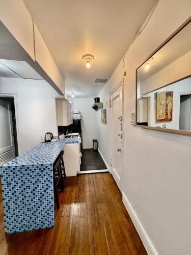 great HOME apt in NEW YORK NEXT TO TIME Square in Greenwich Village