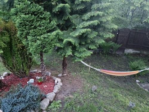 Dārzs, Green Hideaway in Fântânele (Sibiu)