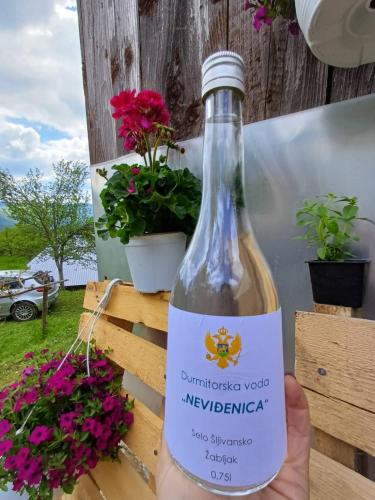 Djedova Zemljana kuca in Durdevica Tara