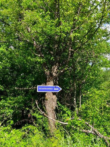 Djedova Zemljana kuca in Durdevica Tara