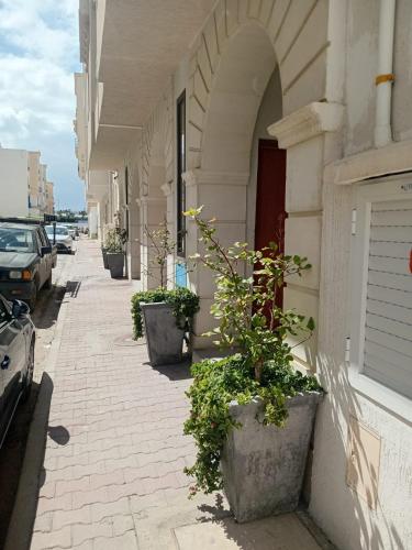 Dar Bayrem in La Goulette