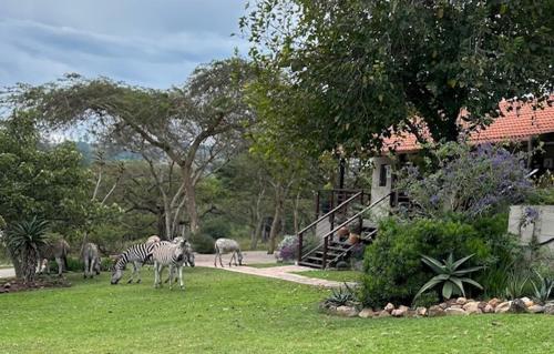 Khululeka Safaris Lodge in White River