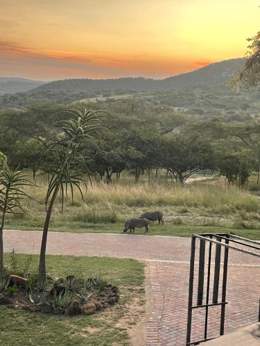 Khululeka Safaris Lodge in White River