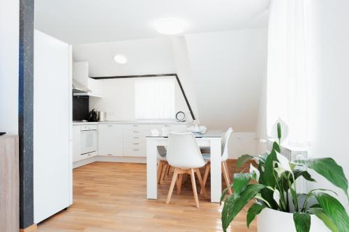 Apartment TV – khách sạn tại Nova Vas