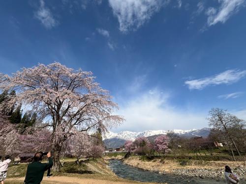 CALL92Chalet in Hakuba Station