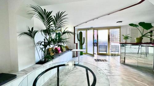 Coliving Ajaccio type Auberge de Jeunesse in Ajaccio City Center