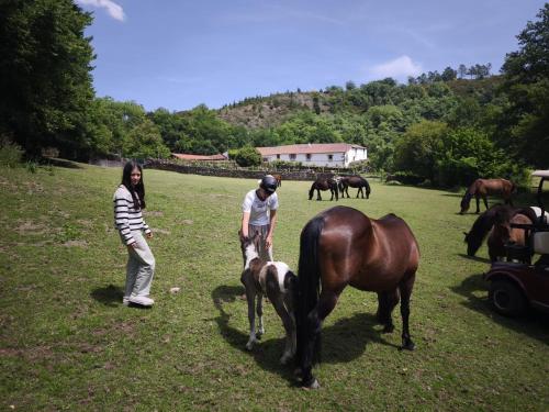 Casa Grande de Covas-Apartamentos Boutique en la Ribeira Sacra con finca privada de 80 ha - Rodeiro