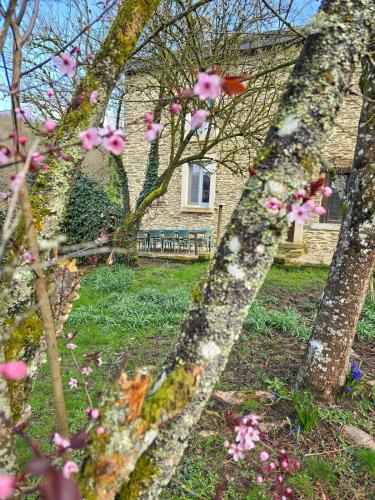 200yr Farmhouse, Fenced Garden & Kids Room gîte à louer Bagimont