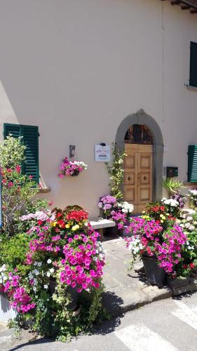 Dalla Carla In Toscana - Monte San Savino