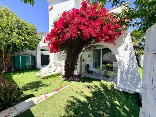 A szálláshely kívülről, La Casa mediterránea de Sonia (La Casa mediterranea de Sonia) in Premia de Mar (Maresme)
