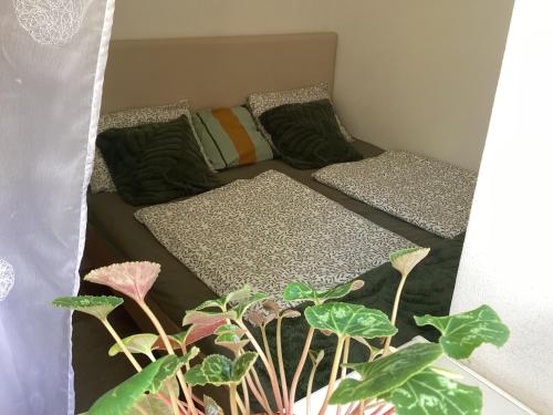 Istaba viesiem, Všemina apartmán s terasou (Vsemina apartman s terasou) in Všemina
