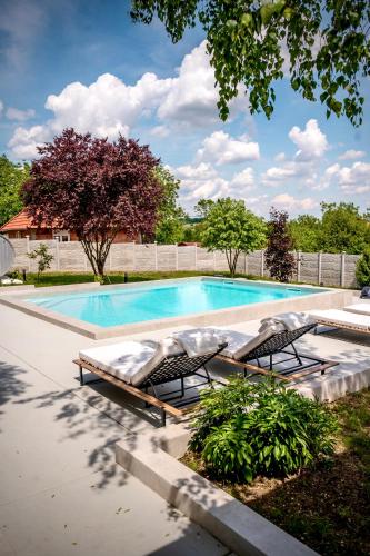 Peldbaseins, YAMM Pool House in Mala Ivanča