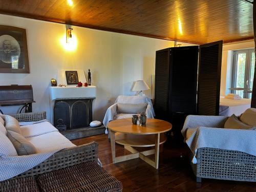 The Forest House in Pelion in Anilio Pelion