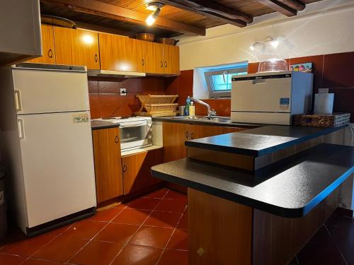 The Forest House in Pelion in Anilio Pelion