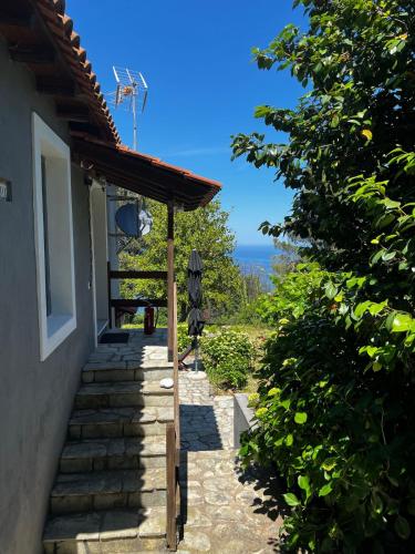 The Forest House in Pelion in Anilio Pelion