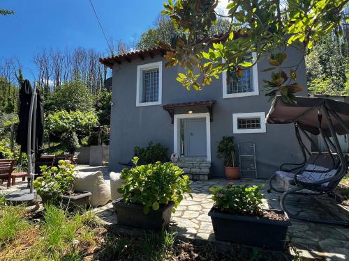 The Forest House in Pelion in Anilio Pelion