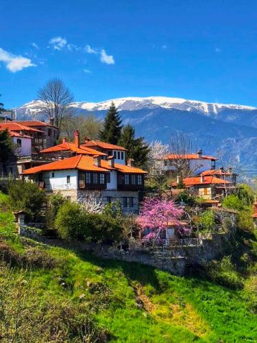 Exterior view of Feggaropetra Inn Magic Mountain House