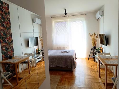 Apartment Terminal, Subotica