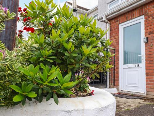 Exterior view, Treetops in Par