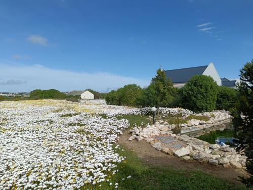 Otoczenie, Silver Oaks Best of Both Worlds in Long Acres Country Estate
