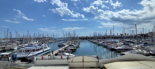 la terrasse des mats