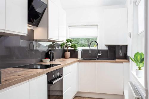Scott Suite - Donnini Apartments in Кілмарнок