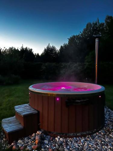 Aktivitātes, D&A Vila - Private Villa with Sauna & Hot Tub in Dvarčėnai (Alytus)