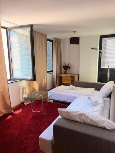 Salzburg City Appartement, Salisburgo (foto 3)