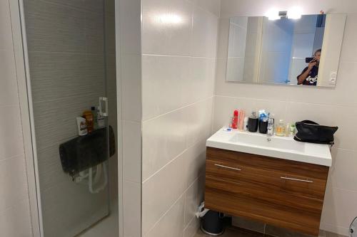 Apartment with Pool and Terrace in Montpellier - image 3