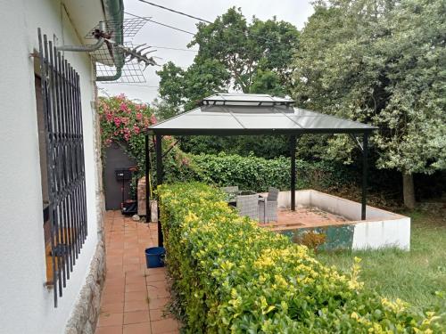 El capricho de la Providencia