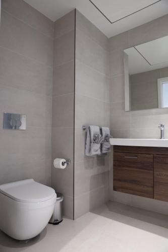 The Mercury Suite - image 3