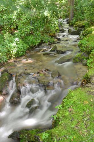 Panther Creek Cabins in Cherokee, USA
