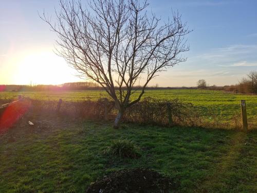 Skats, Woodcote Secret Garden in Dauntsey
