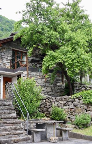 Verzasca Lodge Tea - Charming retreat in nature in Frasco
