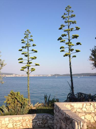 Villa Calypso - image 10