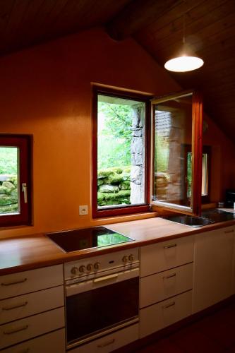 Verzasca Lodge Tea - Charming retreat in nature in Frasco